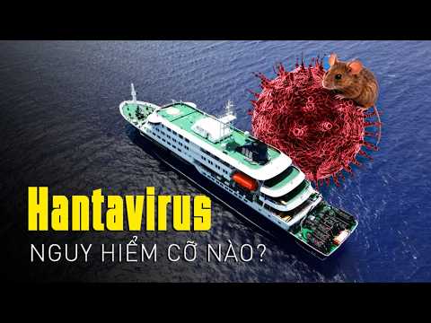 #1075 Thông Não Hantavirus - Virus Tận Thế Mới Đã Xuất Hiện!? thumbnail