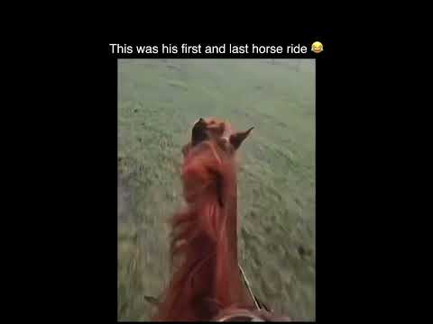 Bro went on the ride of his life ??? thumbnail