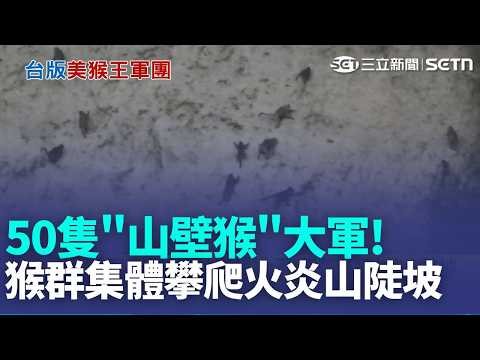 罕見! 50隻"山壁猴"大軍 集體攀爬火炎山陡坡 設備出包? 客怨"付錢不出餐"美食街大暴走 自助餐變鳥buffet? 麻雀跳進菜盆偷吃 客驚:不敢吃｜新聞一把抓20260517｜三立新聞台 thumbnail