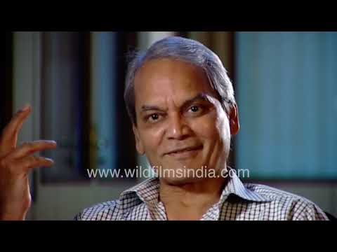Vinod Pandey recalls casting Parveen Babi in Yeh Nazdeekiyaan thumbnail