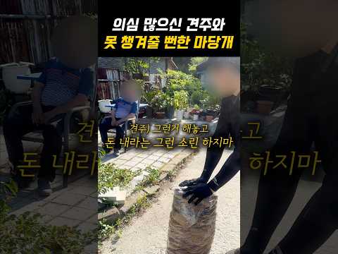 요즘 시대에 보기드문 마당개 봉사자 thumbnail