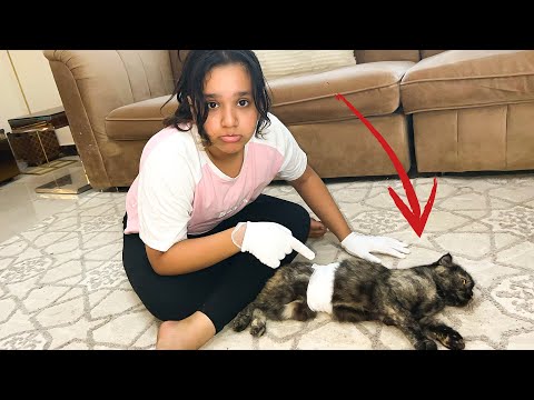 شفا تعالج قطتها تعبانة !! thumbnail