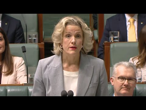 ‘Doesn’t know anything’: O’Neil under fire after fumbling response on granny flat policy thumbnail