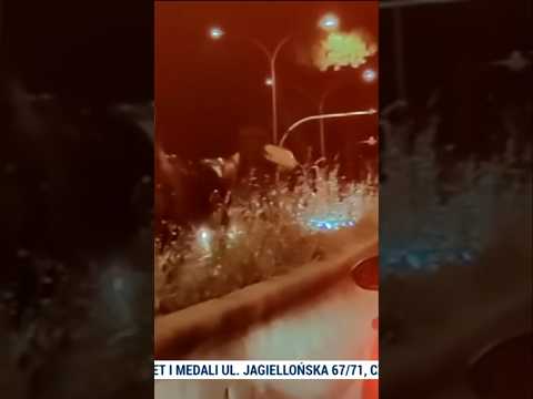 Kłębowisko w centrum Rzymu! Pędzące konie staranowały turystów przed paradą thumbnail