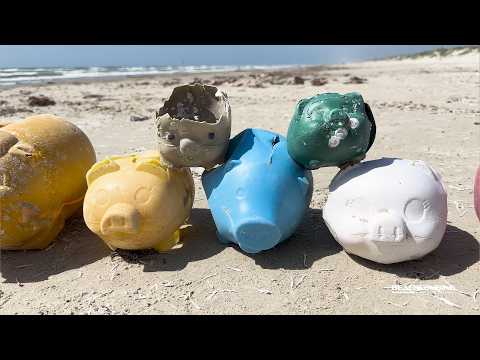 Over 60 Piggy Banks Found on Texas Beach thumbnail
