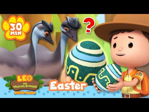 LEO FINDS EASTER EGGS IN A BIRD'S NEST?! 🐇 | Leo the Wildlife Ranger | Educational Animal Cartoons thumbnail