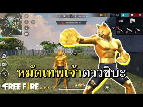 หมัดหมาทอง ใครมองโดนต่อย thumbnail