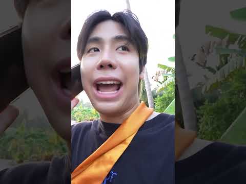 เป็นเด็กวัดออกบิณฑบาตครั้งแรก🛕#spd #เต้าจ้าว thumbnail