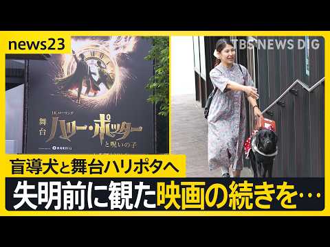 【盲導犬リンダと舞台ハリポタ】「失明する前、最後に観た映画の続きを舞台で…」 ～視覚障害のある観客に魔法の世界をガイドする新たな取り組み～【news23】｜TBS NEWS DIG thumbnail