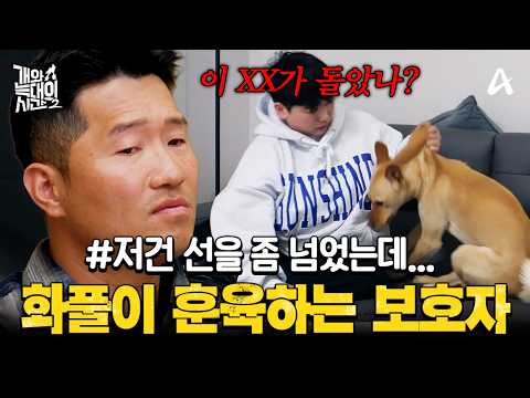 [#클립배송] “화풀이는 훈육 안 돼요” 약한 개 괴롭히는 일진견에 감정 폭발한 보호자의 화풀이 훈육 | #개와늑대의시간2 19회 thumbnail