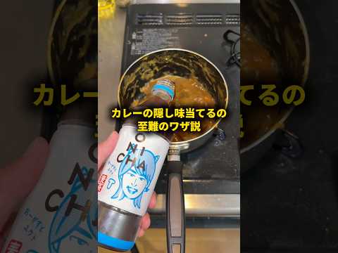 カレーの隠し味当てるの至難のワザ説 #おーがすと #検証 thumbnail