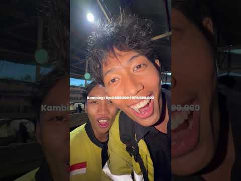 Akhirnya balik kerumah setelah 2 bulan, dan bisa ngasih surprise untuk qurban tahun ini :)… thumbnail