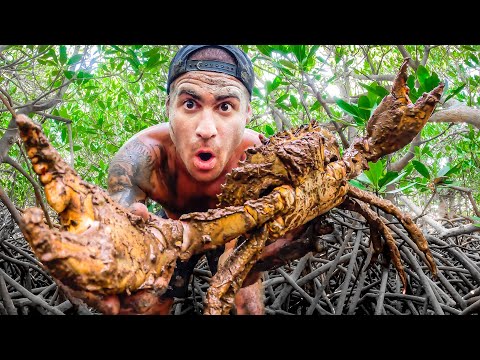 Catch And Cook In Mangrove Forest With Hand Spear thumbnail