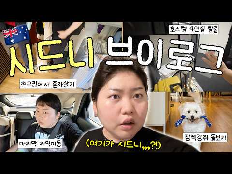 ??워홀_찐_최종_종착지_시드니_브이로그.mp4 내가 펫시터라니,,,,,!?? thumbnail