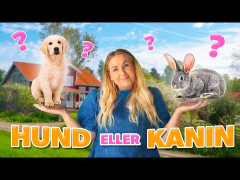 VI BEHÖVER ALLA TIPS! | VLOGG #648 thumbnail