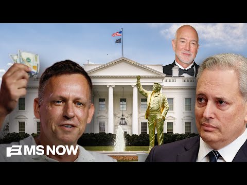 ‘Billionaire CRISIS’: How the country's wealthiest are 'bankrolling' U.S. politics thumbnail