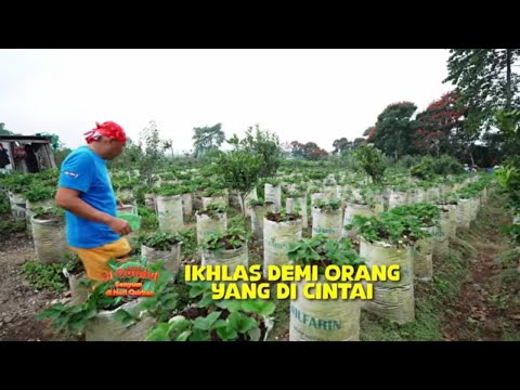 Si Gundul Belajar Dari Bu Mut | JEJAK SI GUNDUL (27/05/26) P1 thumbnail