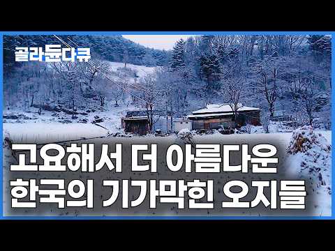 버스 정류장까지 1시간 반. 소백산 자락 시간이 멈춘 곳에 살아가는 사람들｜오지의 아름다움｜한국기행｜#골라듄다큐 thumbnail