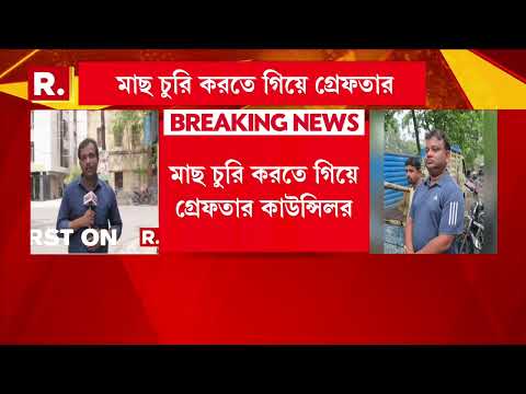 গ্রেফতার রাজপুর-সোনারপুরের তৃণমূল কাউন্সিলর। মাছ চুরি করতে গিয়ে গ্রেফতার কাউন্সিলর। thumbnail
