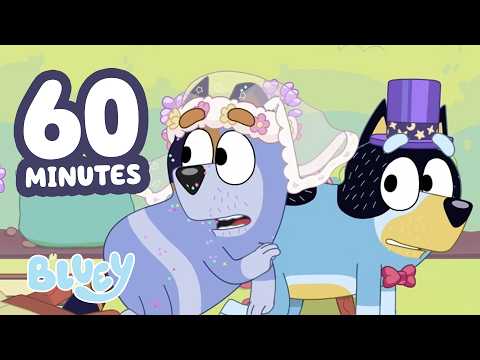 Bandit and Stripe Pretend to Get Married! 😆 💍 | 1 HOUR | Bluey Clip Compilation | Bluey thumbnail
