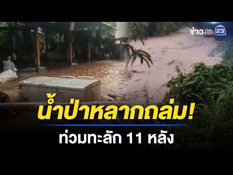 ถล่มจมบาดาล! น้ำป่าหลากท่วมแม่สะเรียงทะลักเข้าบ้าน 11 หลัง l ข่าวเที่ยงเวิร์คพอยท์ l 20 พ.ค.69 thumbnail