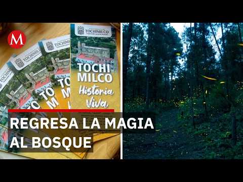 El santuario de la luciérnaga que devuelve la esperanza a Tochimilco thumbnail