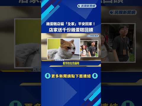 雞蛋糕店貓"全家"平安回家! 店家送千份雞蛋糕回饋－民視新聞 thumbnail