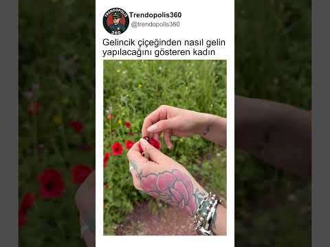 Gelincik Çiçeğiyle Gelin Kız Yapımını Gösteren Kadın👏🤔 thumbnail