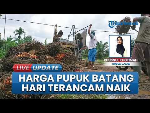 Pedagang & Petani Mulai Khawatir, Harga Pupuk di Batang Hari Bisa Semakin Melonjak karena Dolar Naik thumbnail