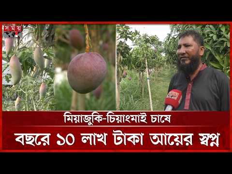 ঘেরের পাড়ে ৪৩ জাতের আম: বিদেশি জাতের বাম্পার ফলনে আসাদের বাজিমাত | Mango | Miyazaki | Chiang Mai thumbnail