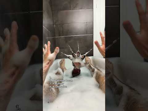 Have an everything bath with me 👀 thumbnail
