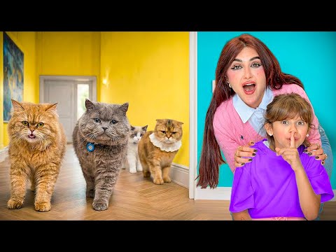 مين من قططنا يحبنا اكثر | اخيرا رجعنا البيت !! thumbnail