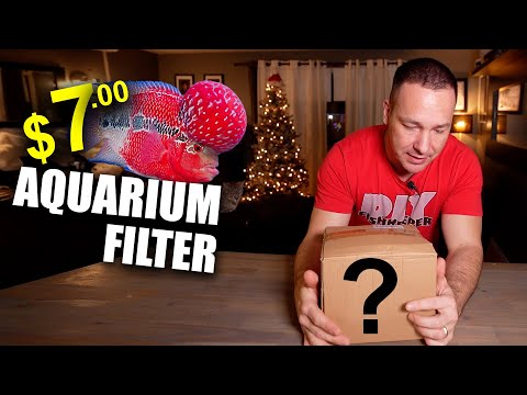 The ultimate aquarium filter for $7! (NOT CLICKBAIT) THE KING OF DIY thumbnail