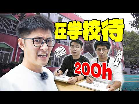 让同事在幼儿园待200小时… thumbnail