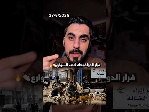 قرار من مصر بإنشاء مركز لايواء كلاب الشوارع ورعايتها thumbnail