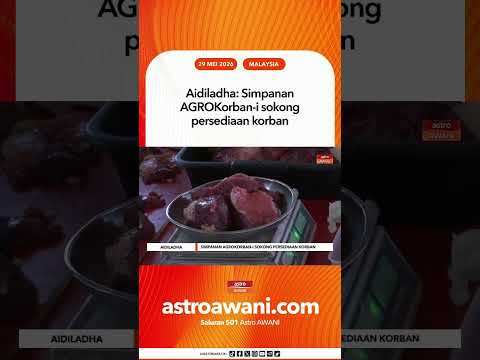 Aidiladha: Simpanan AGROKorban i sokong persediaan korban thumbnail