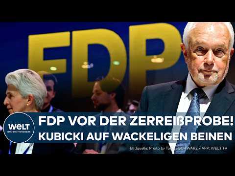 WIEDERBELEBUNG DER FDP: Wolfgang Kubicki startet auf wackeligen Beinen | Probleme in der Partei thumbnail