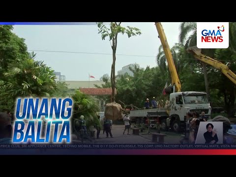 Pagpuputol ng mga puno sa Quirino Ave. para sa expressway project... | Unang Hirit thumbnail