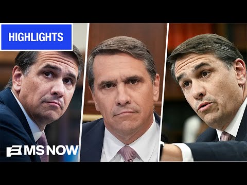 Blanche HAMMERED by House Dems on Trump 'slush fund', Epstein files | MS NOW Highlights thumbnail
