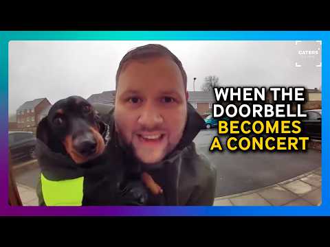 Singing Doorbell Songs With My Dachshund 🐶 thumbnail