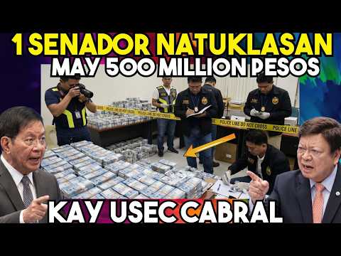 NAGKAINITAN NA SILA! SENADOR PING LACSON may IBINULGAR kay SENATOR MARCOLETA. TOTOO KAYA TO?! thumbnail