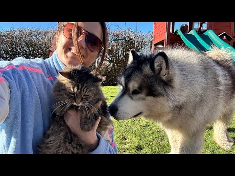 Bobbie V Teddy Sharing The Love On Valentines Day thumbnail