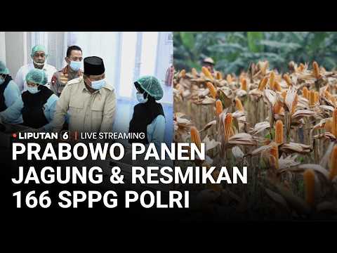 ? LIVE | Presiden Prabowo Panen Jagung dan Resmikan 166 SPPG Polri thumbnail