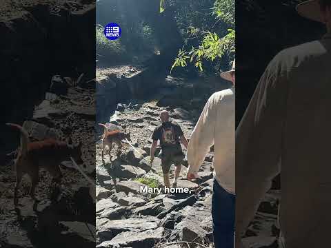Mission to find missing Tassie devil ramps up | 9 News Australia thumbnail