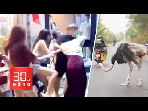 Bản tin 30s Nóng: Diễn biến vụ nhóm đi xe Lexus đánh 2 cô gái; Bí ẩn 10 con đà điểu ở Tây Ninh thumbnail