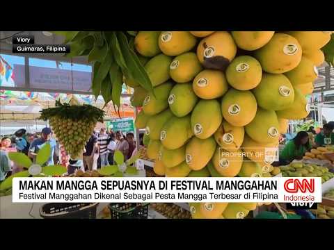 Makan Mangga Sepuasnya di Festival Manggahan thumbnail