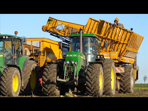 Two phase sugar beet harvest | classic John Deere 4455 + Bleinroth LB 20 loader / Rüben ladebunker thumbnail
