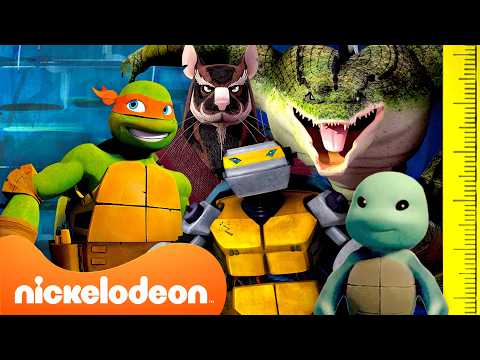 TMNT | Peringkat karakter Teenage Mutant Ninja Turtles menurut tinggi! 📏 (2012) | Nickelodeon Bahasa thumbnail