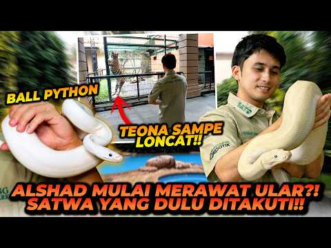 ALSHAD MULAI TERTARIK DENGAN ULAR?! KALAU MELIHARA ULAR DIRUMAH PASTI DI USIR IBU! thumbnail