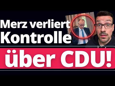 CDU Angriff auf AfD: Bundestagsabgeordnete sollen aus AfD-Partei AUSTRETEN! thumbnail